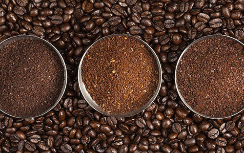 Beginner’s Guide To Coffee Beans And How To Choose Them